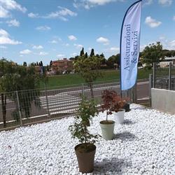 Assicurazioni E Servizi Di Luciano Sabatino, Trigoria orari di apertura