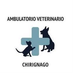 Ambulatorio Veterinario Chirignago, Venezia orari di apertura