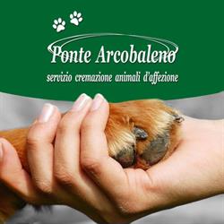 Ponte Arcobaleno S.r.l. - Cremazione Animali d'Affezione, Alessandria orari di apertura
