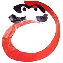 Aikido Daruma - Padova, orari di apertura