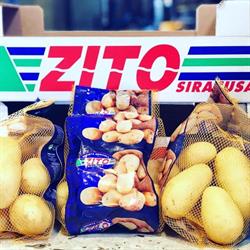 Zito & Co. Srl, Siracusa orari di apertura