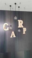 Carp S.r.l., Jesolo orari di apertura