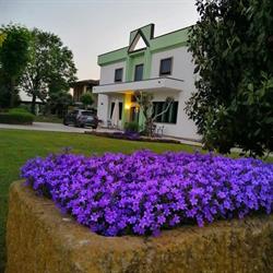 Ristorante Casa Bianca, Casale di Scodosia orari di apertura