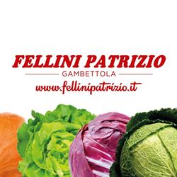 Fellini Patrizio SRL, Gambettola orari di apertura