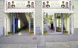 Mosa Gelateria, Torino orari di apertura