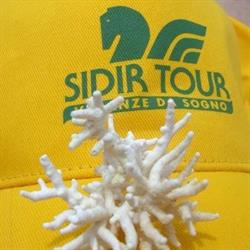 Agenzia Viaggi Sidirtour, Ormelle orari di apertura