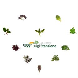 Azienda Agricola Luigi Stanzione, Bellizzi orari di apertura