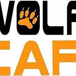WOLF CAR, Roma orari di apertura