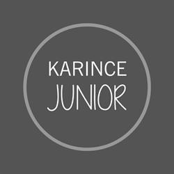 Karince Junior, Casatenovo orari di apertura