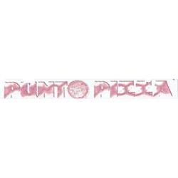 Punto Pizza, Motta Sant'Anastasia orari di apertura