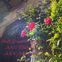 B&B Palazzo Spinelli, Belvedere Marittimo orari di apertura