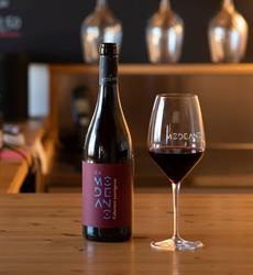 Cantina vini "Modeano", Palazzolo dello Stella orari di apertura