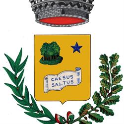 Comune di Cessalto, orari di apertura