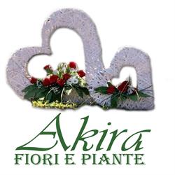 Akira fiori e piante, Sant'Agata li Battiati orari di apertura