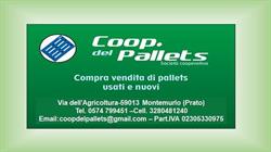 Cooperativa Del Pallets Societa' Cooperativa, Montemurlo orari di apertura
