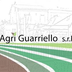 AGRI GUARRIELLO S.R.L., Teano orari di apertura