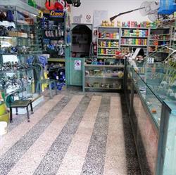 Pesca-Sport e Caccia di Tripari Nicolina, Policastro Bussentino orari di apertura