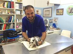 Dott. Michele Falletta Medico Veterinario Animali Esotici, Campofranco orari di apertura