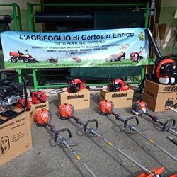 L'AGRIFOGLIO DI GERTOSIO ENRICO, Alpignano orari di apertura