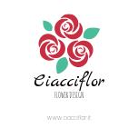Ciacciflor Sas Di Ciacci Guja & c., Grosseto orari di apertura