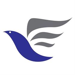 Phenix Insurance Broker Srl, Frosinone orari di apertura