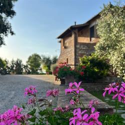 Agriturismo Podere il Moro, San Rocco a Pilli orari di apertura