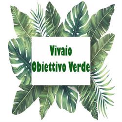 Obiettivo Verde - Vivaio Garden, Calcinate del pesce orari di apertura