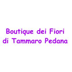 Boutique dei Fiori, Cancello ed Arnone orari di apertura