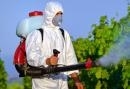 Disinfestazione Roma, orari di apertura