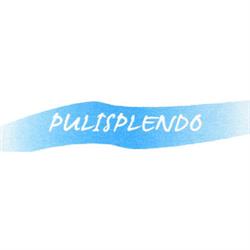 Impresa di Pulizie Pulisplendo, Parma orari di apertura