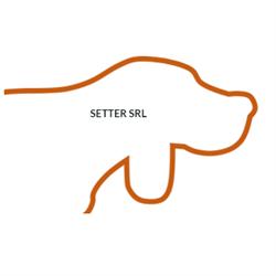 Setter, Alpignano orari di apertura