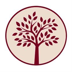 AllAlberone - Cucina con Cantina, Roma orari di apertura