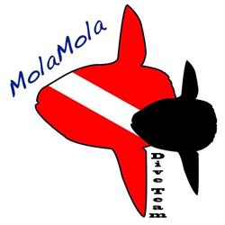 MolaMola Dive Team, Diving, snorkeling e whale watching, Alassio orari di apertura