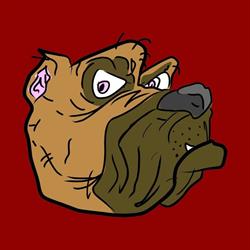 Allevamento Bouledogue Francese e Cane Corso Rosso Malpelo, Cento orari di apertura