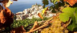 Cantina Cheo, Vernazza orari di apertura
