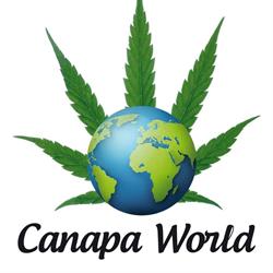 Canapa World Cremona, orari di apertura