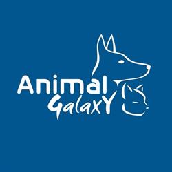Animal Galaxy, Sanluri orari di apertura