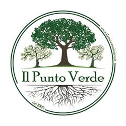 IL PUNTO VERDE, Oliveto Citra orari di apertura