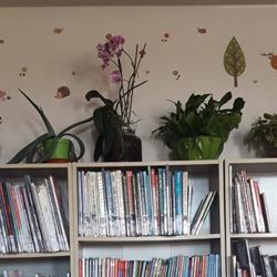 Biblioteca di Offanengo, orari di apertura