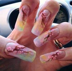 AMY NAILS Sovico, orari di apertura
