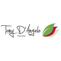 Fiorista Tony d'Angelo, Capua orari di apertura