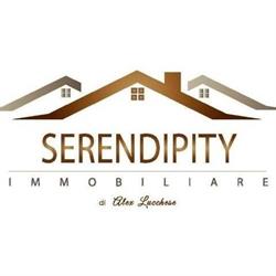 Serendipity Immobiliare, Marina di Carrara orari di apertura