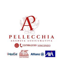 Assicurazioni- Agenzia Pellecchia, Villaricca orari di apertura