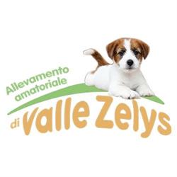 Allevamento di Valle Zelys, Francavilla al Mare orari di apertura