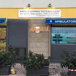 Ambulatorio Veterinario La California, Bibbona orari di apertura