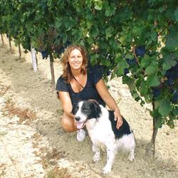 Azienda Agricola Enrico Vittori, Montalto delle Marche orari di apertura