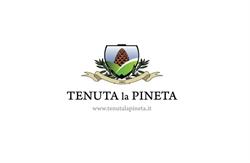 Tenuta la Pineta, Castiglion Fibocchi orari di apertura