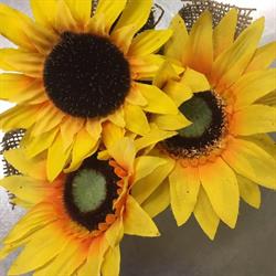 Il girasole bar pizzeria, Pomarance orari di apertura