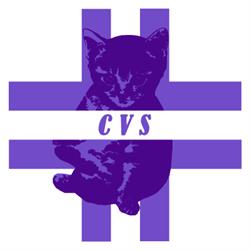 Centro Veterinario Scalea, orari di apertura