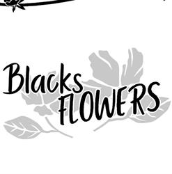 Blacks Flowers, Bruino orari di apertura